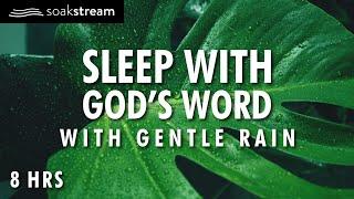 Bible Verses with Rain for Sleep and Meditation - NO MUSIC (MALE VOICE)