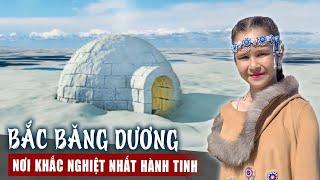 TOÀN CẢNH BẮC BĂNG DƯƠNG - Cuộc Sống Nơi Khắc Nghiệt Nhất Hành Tinh