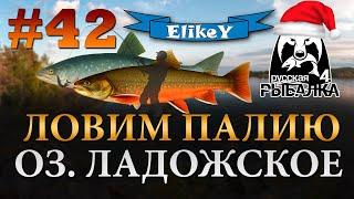 Палия • Какие секреты? • Новая Оснастка • Фарм Серебра • Оз. Ладожское • Русская Рыбалка 4 #42