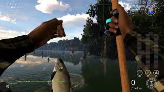 Fishing Planet Staffel 3 Folge 46 Blaue Krabbeninsel Erkundung 1 Teil 1