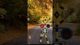 Railroad crossing cross the road #railroadcrossing #animation #funny #shortsvideo #shorts