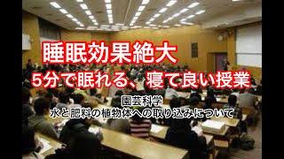 【眠れない時に】すぐ眠れる！寝ても良い授業！？植物生態学講義【睡眠導入用】