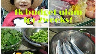 PAANO  E BUDGET ANG 1000PESOS NA pang ULAM  IN A TWO WEEKS? + TIPS PRESERVING VEGGIES FRESH