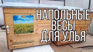 Электронные весы для улья за 600 рублей. Весы для габаритного груза.