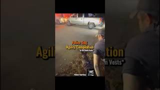 Police Dog Agility Compilation  #policedog #policeforce #dogsport