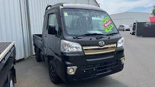 2016 Daihatsu HiJet Jumbo Walk Around