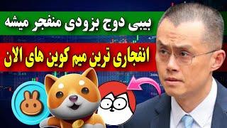 فوووووری  بیبی دوج بزودی منفجر میشه / انفجاری ترین میم کوین های الان رو از دس نده