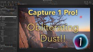 Obliterating Dust - How to remove sensor dust and other crud using Capture One Pro