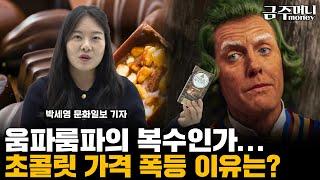 움파룸파의 복수인가... 초콜릿 가격 폭등 이유는? [금주머니TV]