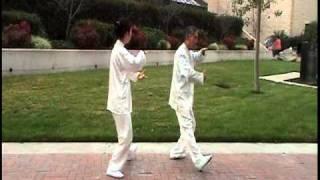 Two people mirror Tai Chi form 16