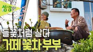 [2TV 생생정보] 꽃과 사랑에 빠진 귀농 7년 차 부부 KBS 230324 방