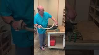 Venom extraction from Sunset Monocled Cobra (while being accused of showing off )