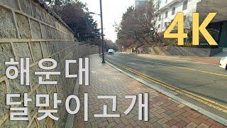 [Walking in Busan] I walked the Haeundae Dalmaji Pass called Beverly Hills in Korea.