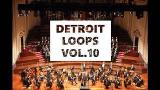 Detroit Loop kit "Detroit Loops" Vol.10 (Orchestral Style)