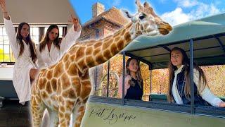I Stayed OVERNIGHT at PORT LYMPNE SAFARI PARK | Giraffe Cottage | Izabella Penman