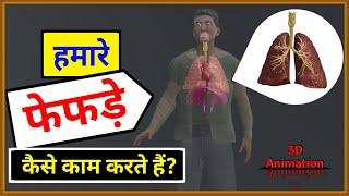 हमारे फेफड़े कैसे काम करते हैं? | How do our lungs work? | Human Respiratory System | 3D Animation