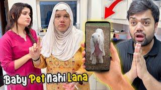 Mama Ne Pet Lene Se Mana Kar Diya  | Baby Sheep Ki Ijazat Nahi Mil Rahi 