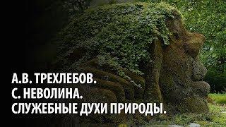 "Служебные Духи Природы". А.В. Трехлебов и С. Неволина.