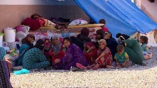 Civilians in grave danger in battle to retake Mosul