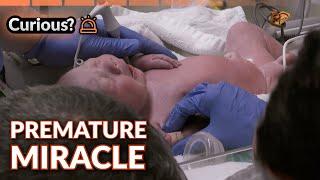 Organ Transplant and Pregnancy Risks | 24 Hour Baby Hospital