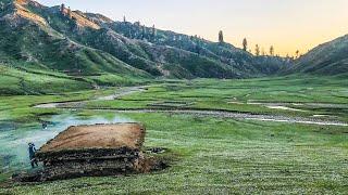 Hidden Baleja Meadows Siran valley KP journey |ExplorePakistan|  HikingCampingTrekking| Documentary