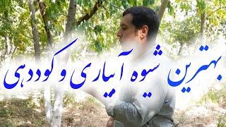 اگر نمیدونی به چه روشی  درختات  را آبیاری کنی،این ویدئو را کامل ببین