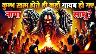 कुम्भ में दिखने वाले नागा साधू कहां गायब हो गए?| Where are the Naga Sadhus gone from Kumbh Mela?