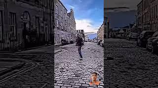  Elvish yadav Attitude Edit ️ I  Rao sahab  trendin  video