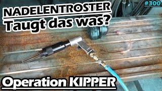 Der billigste Nadelentroster! | Was taugt er? | Kipper-Deichsel instand setzten | Bruns | Mr. Moto