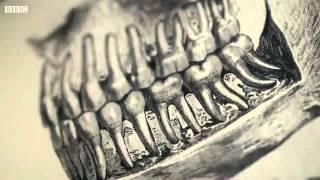 BBC Drills - Dentures and Dentistry An Oral History