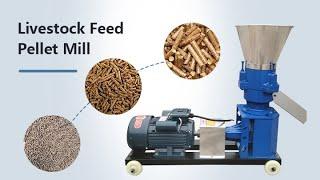 Livestock Feed Pellet Mill | Feed Pellet Production Line | Factory inventory display