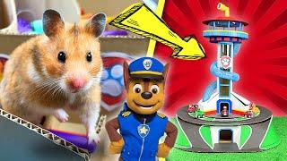 PAW Patrol 2021  Hamster Maze