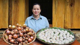 Harvest Taro To Make Cakes - Delicious Meal With Workers - Ly Thi Ca