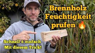 Brennholz Feuchtigkeit prüfen mit diesem einfachen Trick 