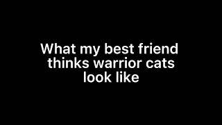 What my best friend thinks warrior cats look like