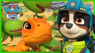 Os Cães Salvam um T-Rex Bebé - Patrulha Pata PAW Patrol Episódio Português