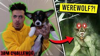 DO NOT ORDER A PUPPY OFF THE DARK WEB (It TRANSFORMED and ATTACKED us!!)