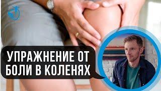 БОЛЯТ КОЛЕНИ - ЧТО ДЕЛАТЬ. Упражнения, которые снимут боль в коленях // Владимир Животов