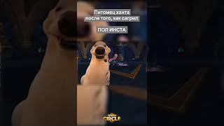 Питомец ханта в #wow вайпул рейд