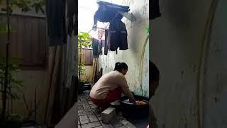 RUTINITAS MEMBERSIHKAN RUMAH || MENYIRAM TANAMAN || MENCUCI BAJU