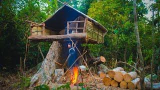 4 Days Solo Bushcraft, Rain Camping, Build a Tree Stump House, Fishing, Cooking, ASMR
