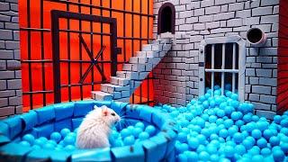 Hamster Maze Expedition  Journey Through the Impossible!