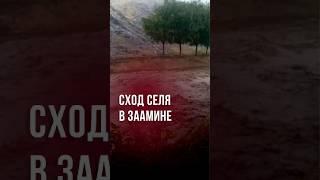 В Джизаке из-за селя затопило дорогу #новости #узбекистан #ташкент