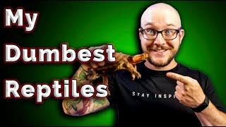 My Dumbest and Smartest Reptiles | NEW Reptile Reveal!