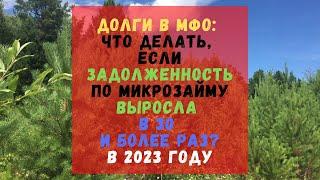 Долги в МФО: что делать, если задолженность по микрозайму выросла в 30 и более раз?