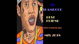 BEST FRIEND ( NEW DANCEHALL )  MIX 2018 / VYBZ KARTEL / TOMMY LEE / CD SHAMROCK