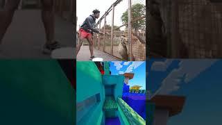Speed barks to a lion