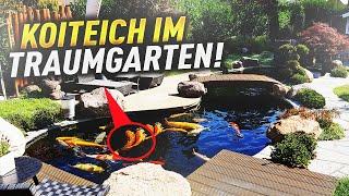 SELBST gebauter KOITEICH mit 95 cm großen KOI!