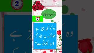 New riddle | New Paheli | Riddle Urdu Hindi