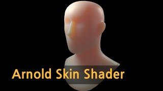 Arnold Skin Shader